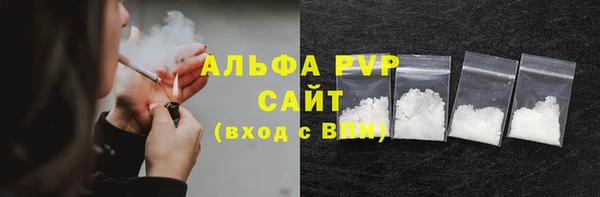 метадон Богданович