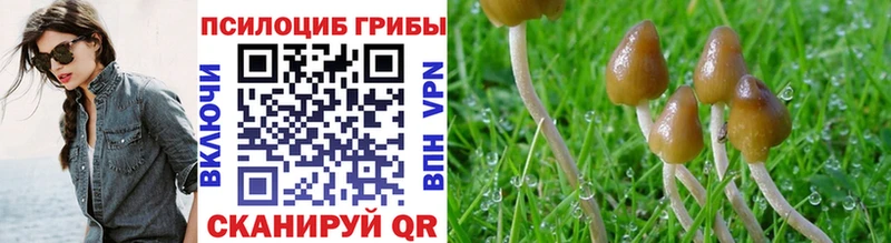 наркошоп  Армавир  Галлюциногенные грибы мухоморы 